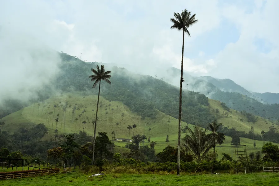 Colômbia