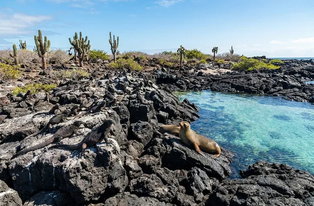 Galápagos Islands, Ecuador